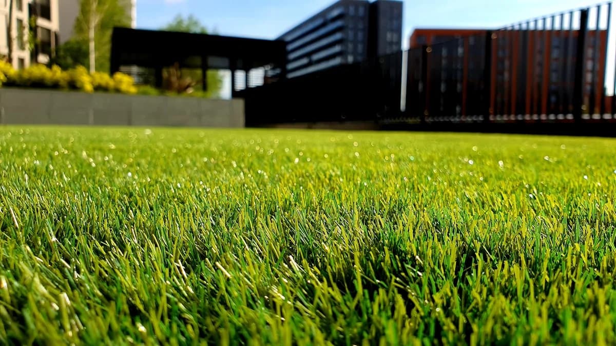 Beautiful green lawn in early spring ready for professional lawn care