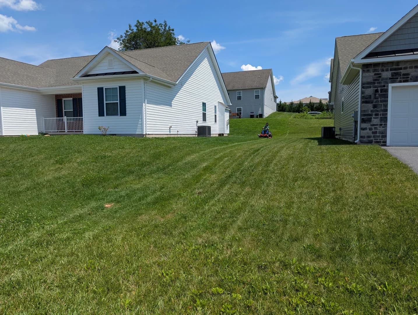 Freshly mowed lawn with straight lines showing professional lawn mowing results
